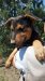 IMG-20170719-WA0071