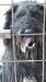 IMG-20190825-WA0049